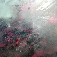 Photographs 2013